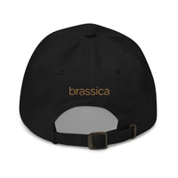 Brassica - (GOLD) Logo Embroidered - Black Hat